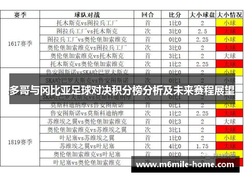 多哥与冈比亚足球对决积分榜分析及未来赛程展望